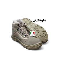 کفش کوهنوردی دماوند کوهی ارک