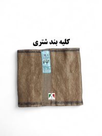 کلیه بند شتری درجه۱